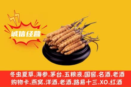 郑州惠济区回收冬虫夏草